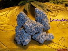 Madd Lavender