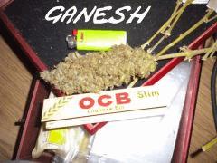 récolte Ganesh