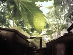 GOPR0345