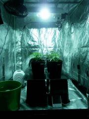 Install haut, mH 400W