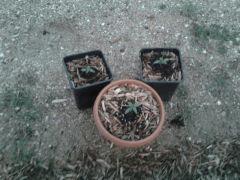 Photo0142