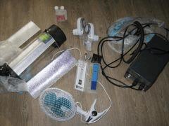 IMG 0229