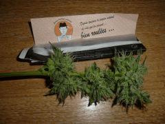 SKunk