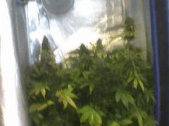 Pic 20120629 013