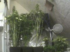 Pic 20120710 002