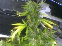 Pic 20120629 012