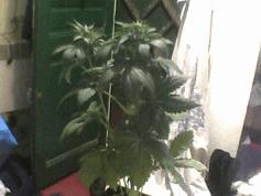 Pic 20120528 025