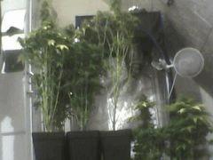 Pic 20120710 001