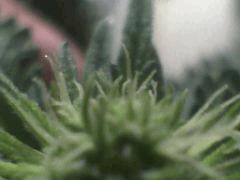 Pic 20120528 003