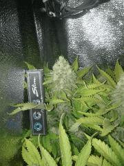 IMG 20130109 095911