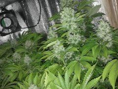 IMG 20130109 095029