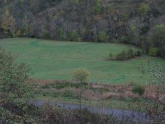 les mycorhyzes dans la prairie