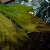 Afgan Haze Feuille 1