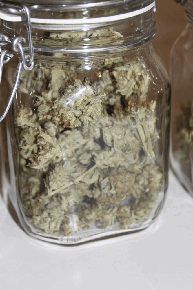 JDC#1 SuperSkunk Suite