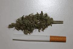 CUT+7(9)