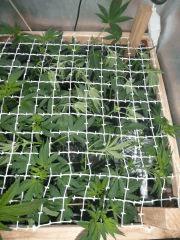 P1000567 (FILEminimizer)