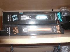 Ampoules