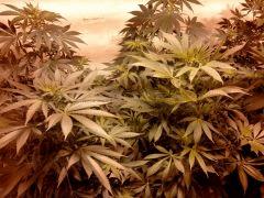 1 ere fois indoor