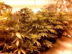 1ere fois indoor