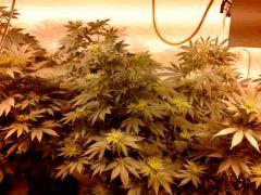 1ere fois indoor