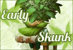 Early skunk