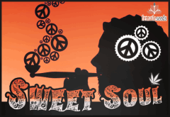 Sweet Soul - Hippie