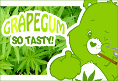 Grapegum - Cannaours