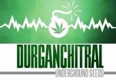 Durganchitral