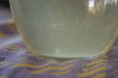CL Tasmnia