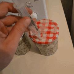 Inoculation pot 1 Golden Teacher