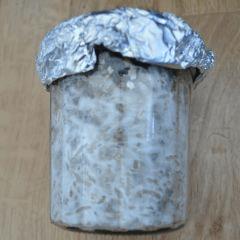 Colonisation Tasmania pot 2
