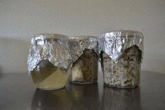 Futurs pots (vermi et riz complet) + CL Golden Teacher