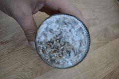 Colonisation Tasmania fond pot 2