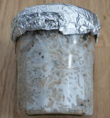 Colonisation Mexicain pot 1