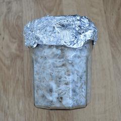 Colonisation Tasmania pot 1