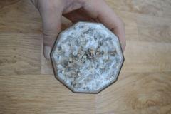 Colonisation Tasmania fond pot 1