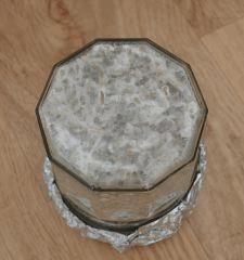 Colonisation Tasmania fond pot 1