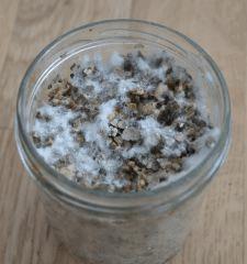 Ouverture Tasmania pot 2