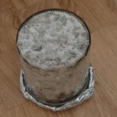 Colonisation Tasmania fond pot 2