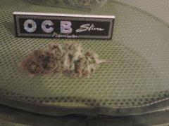 Bud C99