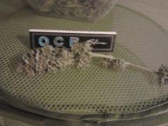 bud2 BS