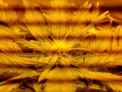 IMG 20130226 132554