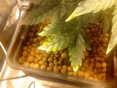 IMG 20130226 132431