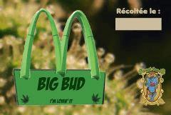 Big Bud