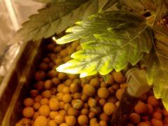 IMG 20130226 132616