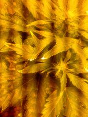 IMG 20130226 132403