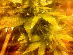 IMG 20130226 132438