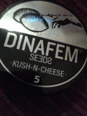 °)Kush-N-Cheese(°