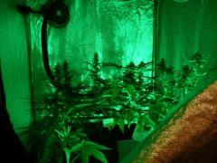 Photo Bonus a FLO+30 avec GreenLight de nuit biensur ;-)