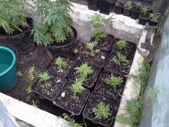 Rempotage des bout'z en 6 l